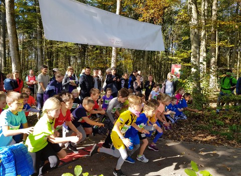 Photo de marchethon de Berne 2026 : chaque pas compte