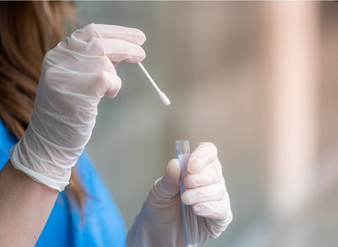 Photo de Zoom sur le microbiome des voies respiratoires