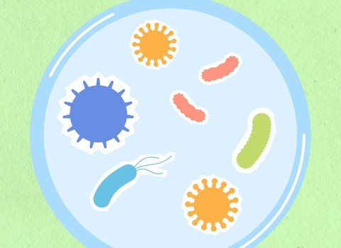 Photo de Forum Phagothérapie – Lausanne